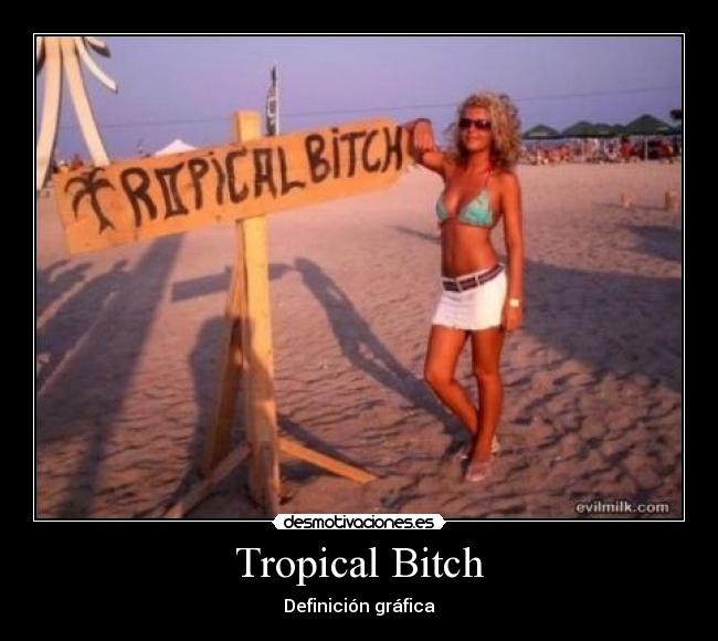 Tropical Bitch - Definición gráfica