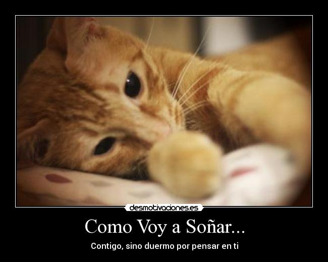 Como Voy a Soñar... - Contigo, sino duermo por pensar en ti
