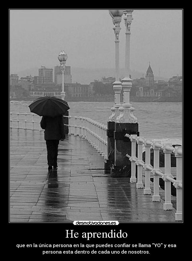 carteles aprendido desmotivaciones