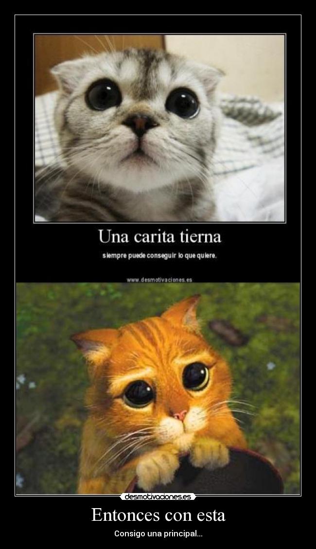 Entonces con esta - Consigo una principal...