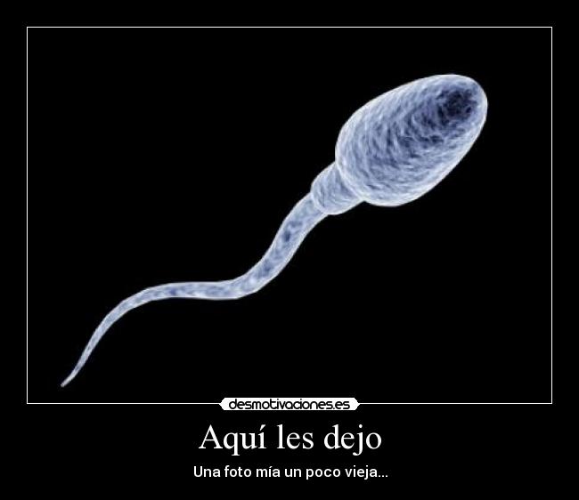 Aquí les dejo - Una foto mía un poco vieja...