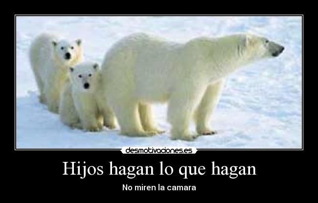 Hijos hagan lo que hagan - No miren la camara