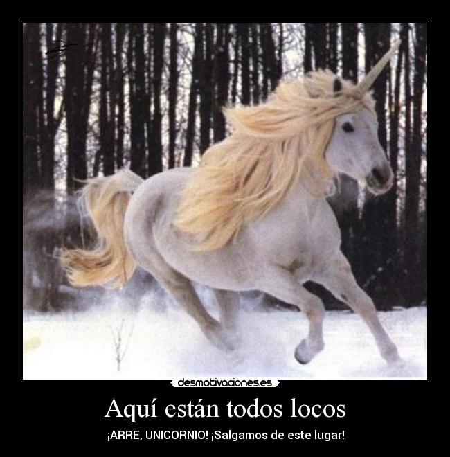 Aquí están todos locos -