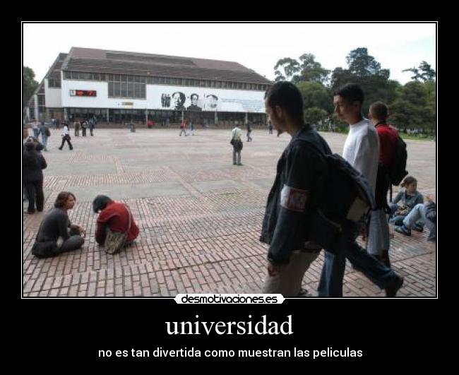 universidad -