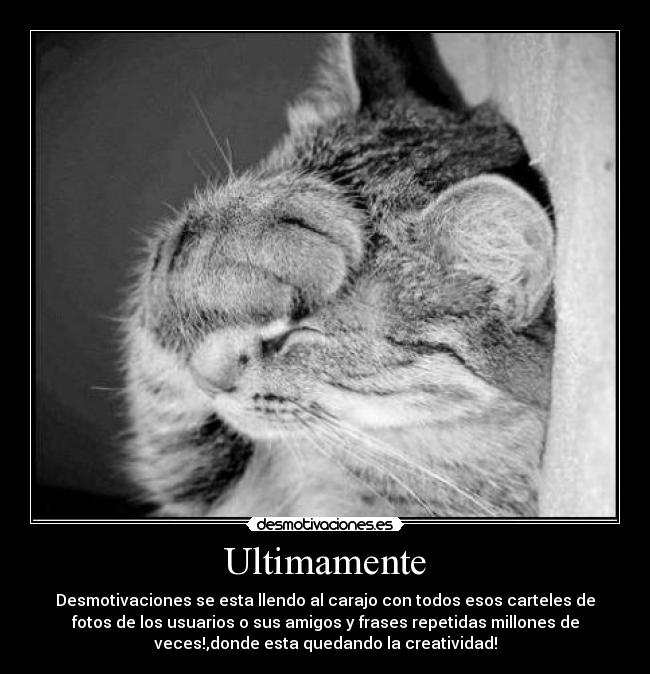 Ultimamente - 