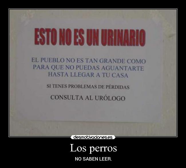 Los perros - NO SABEN LEER.