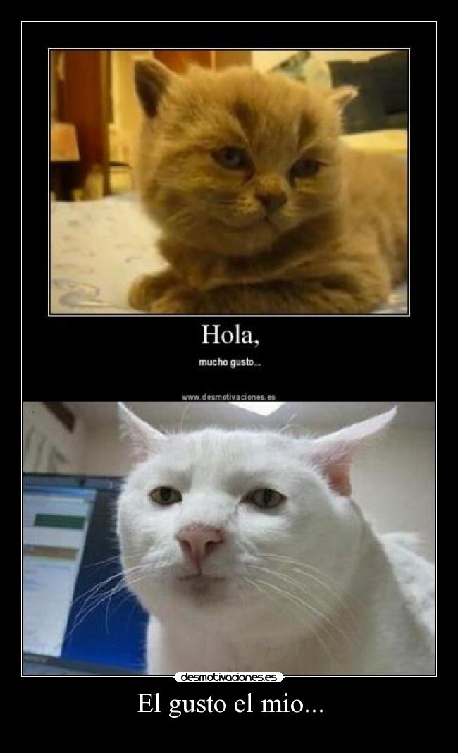 El gusto el mio... - 