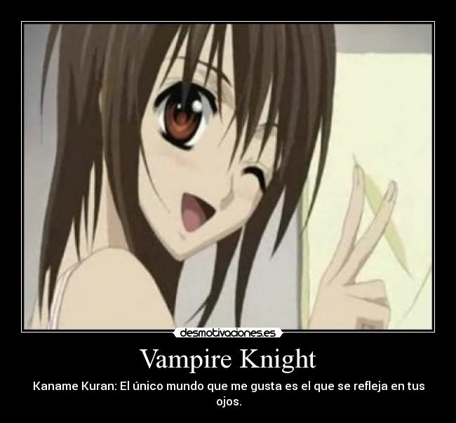 Vampire Knight -