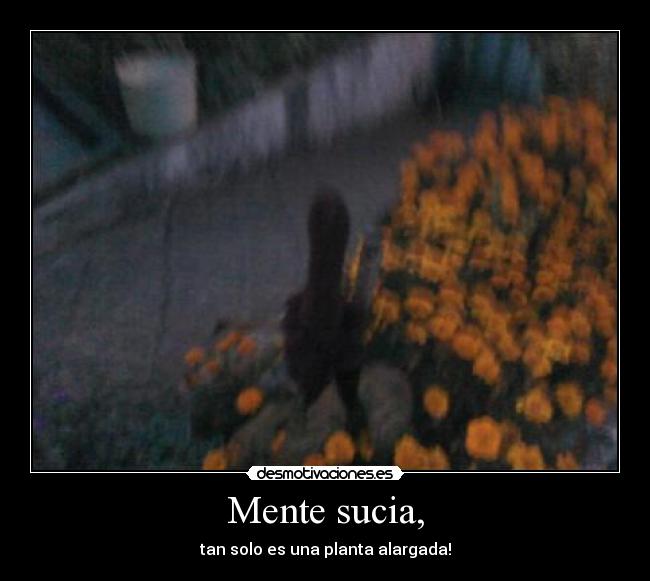 carteles aaaddv desmotivaciones