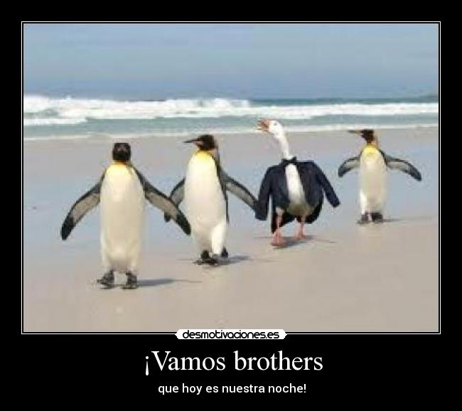 ¡Vamos brothers -