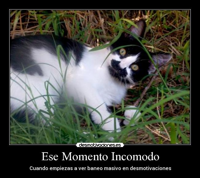 Ese Momento Incomodo - Cuando empiezas a ver baneo masivo en desmotivaciones