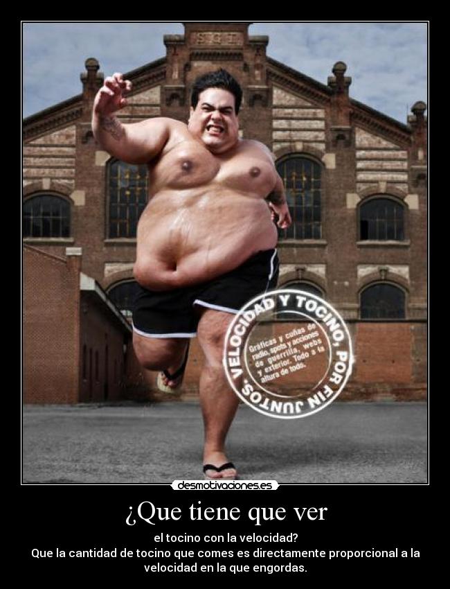 ¿Que tiene que ver - el tocino con la velocidad?
Que la cantidad de tocino que comes es directamente proporcional a la
velocidad en la que engordas.
