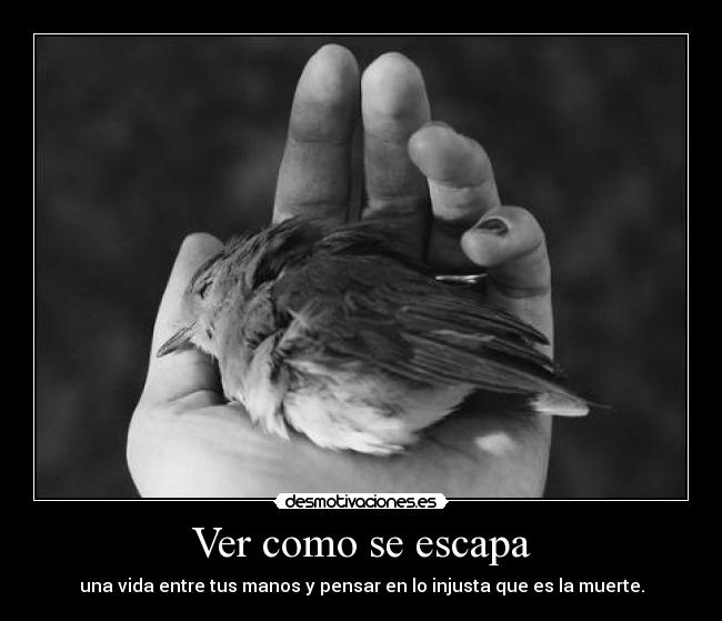 Ver como se escapa - una vida entre tus manos y pensar en lo injusta que es la muerte.