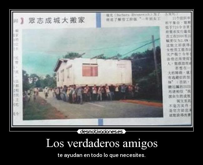 Los verdaderos amigos - 