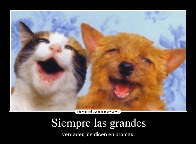 Siempre las grandes - 