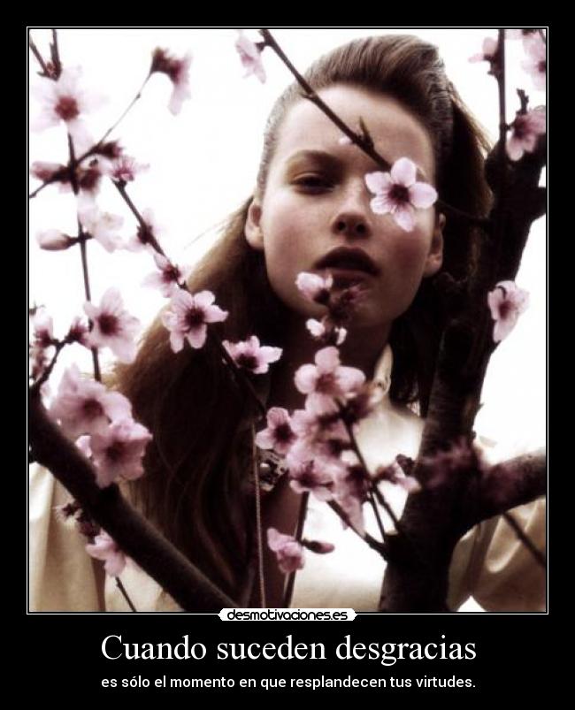 Cuando suceden desgracias - es sólo el momento en que resplandecen tus virtudes.