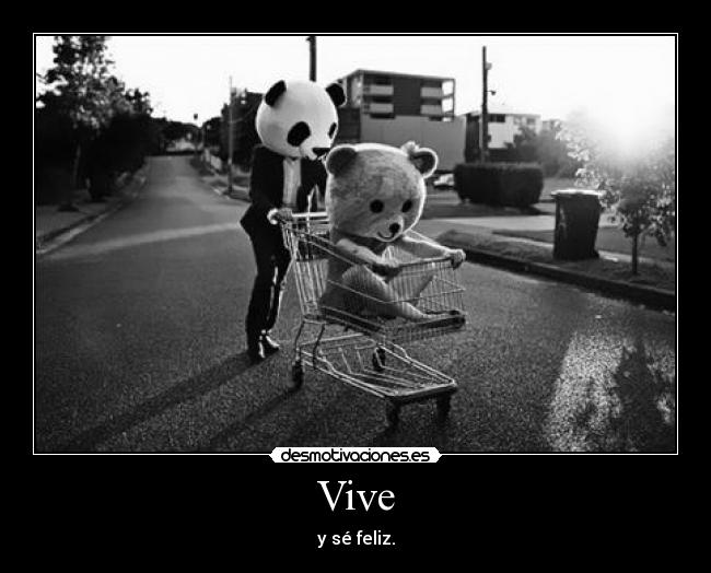 Vive -