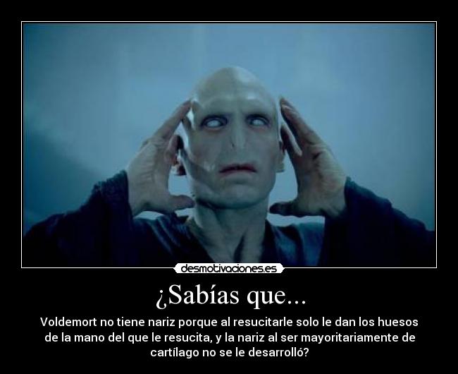 ¿Sabías que... - Voldemort no tiene nariz porque al resucitarle solo le dan los huesos
de la mano del que le resucita, y la nariz al ser mayoritariamente de
cartílago no se le desarrolló?