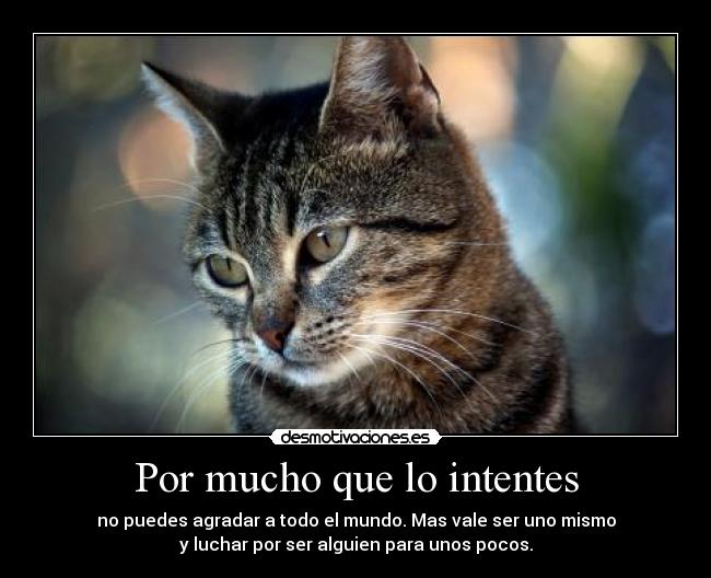 Por mucho que lo intentes - no puedes agradar a todo el mundo. Mas vale ser uno mismo
y luchar por ser alguien para unos pocos.