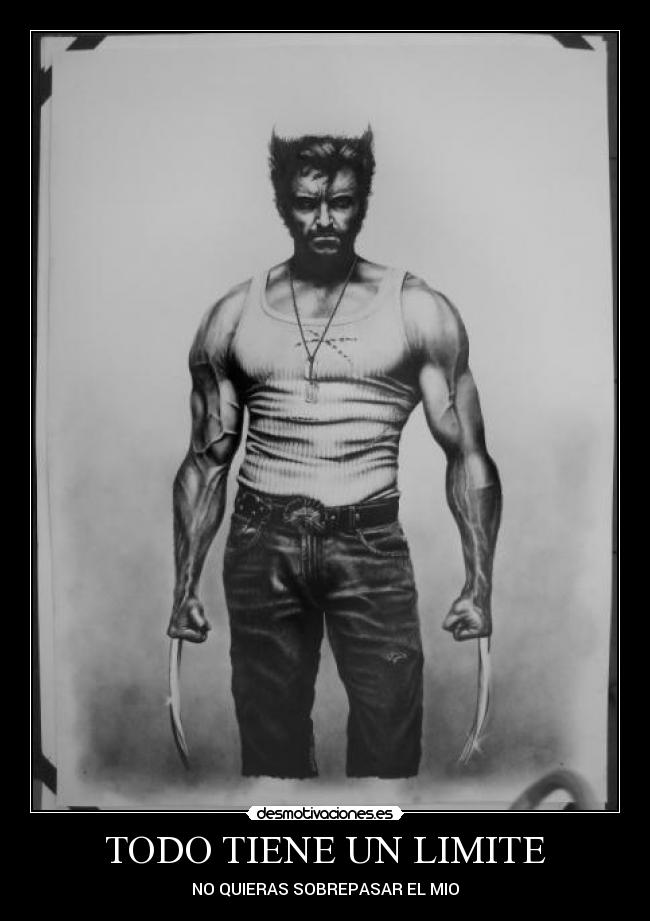 TODO TIENE UN LIMITE - NO QUIERAS SOBREPASAR EL MIO