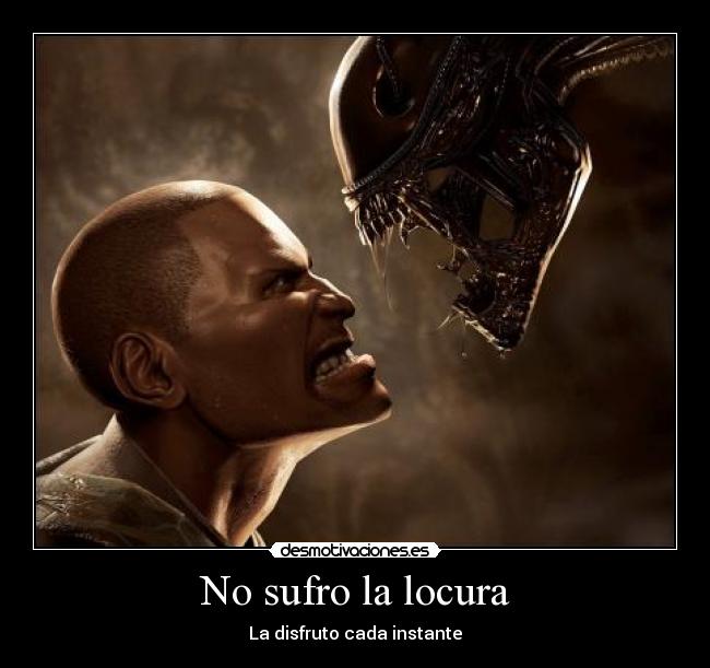 No sufro la locura - La disfruto cada instante