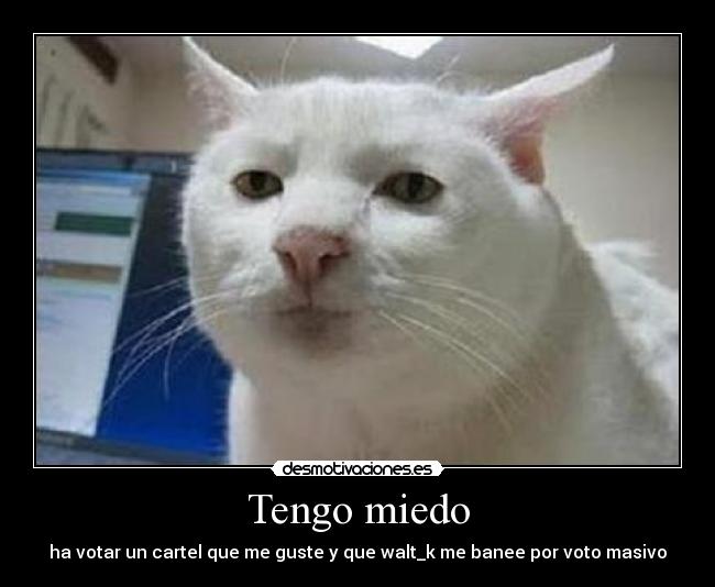 Tengo miedo - ha votar un cartel que me guste y que walt_k me banee por voto masivo