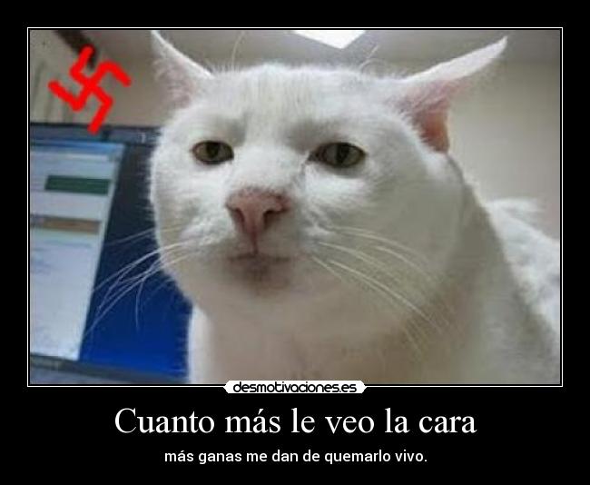 Cuanto más le veo la cara - más ganas me dan de quemarlo vivo.