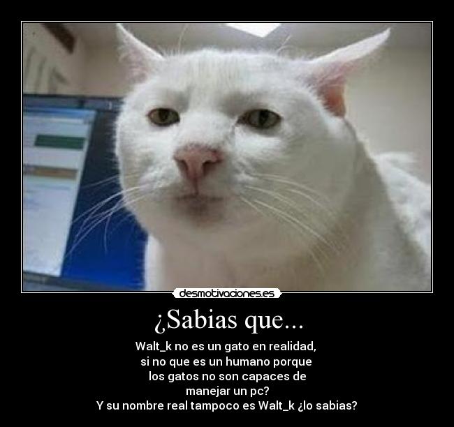 ¿Sabias que... - Walt_k no es un gato en realidad,
si no que es un humano porque
los gatos no son capaces de
manejar un pc?
Y su nombre real tampoco es Walt_k ¿lo sabias?