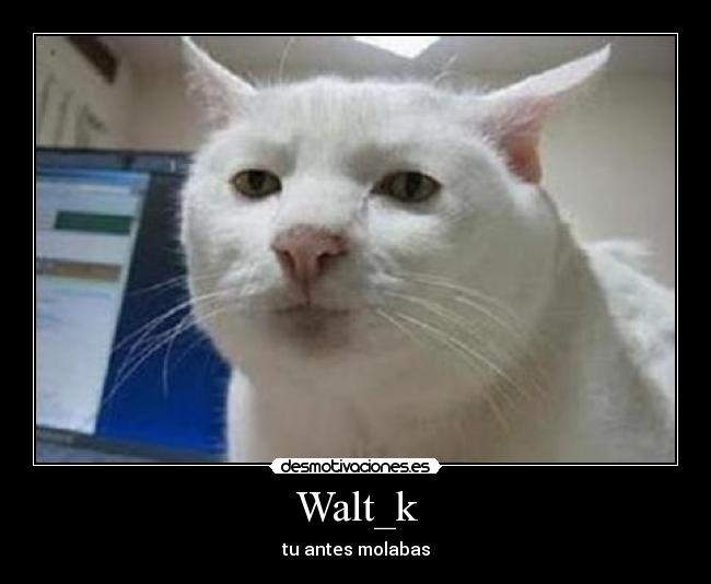 Walt_k -