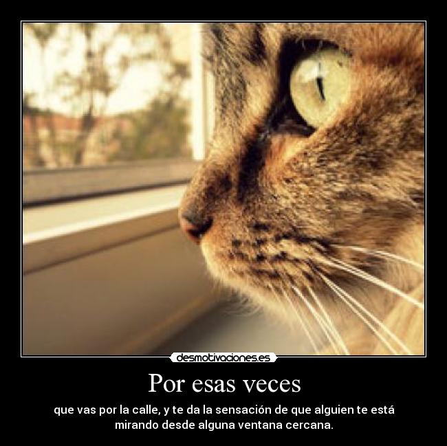 Por esas veces - que vas por la calle, y te da la sensación de que alguien te está
mirando desde alguna ventana cercana.
