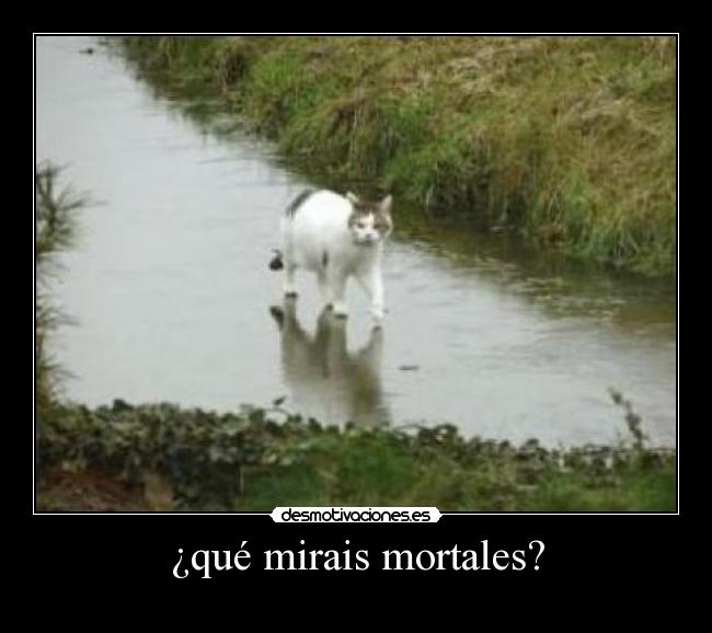 ¿qué mirais mortales? - 