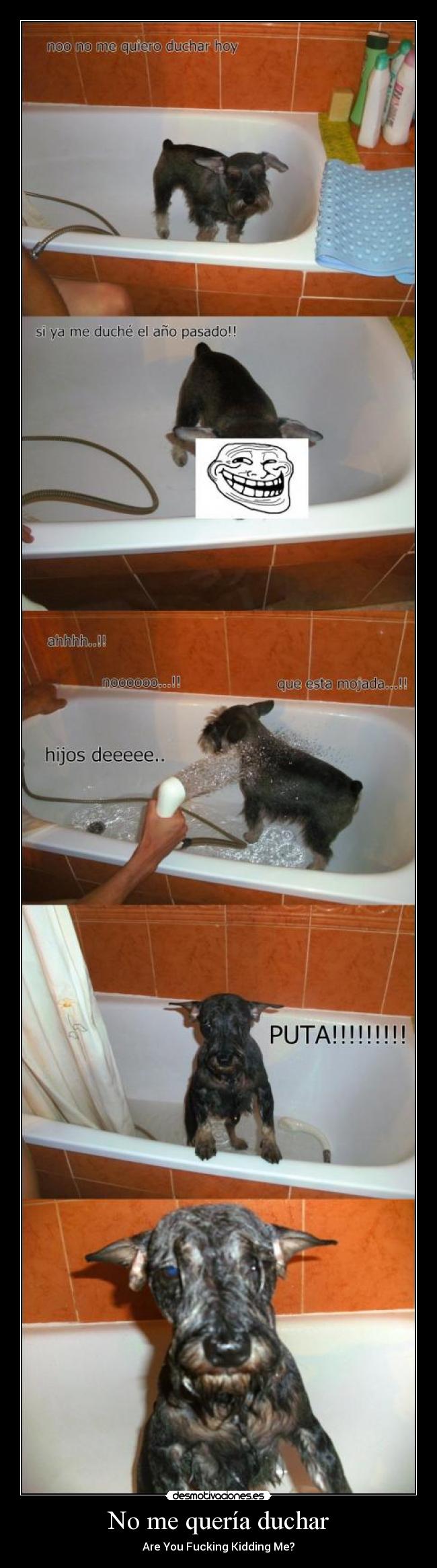 No me quería duchar - Are You Fucking Kidding Me?