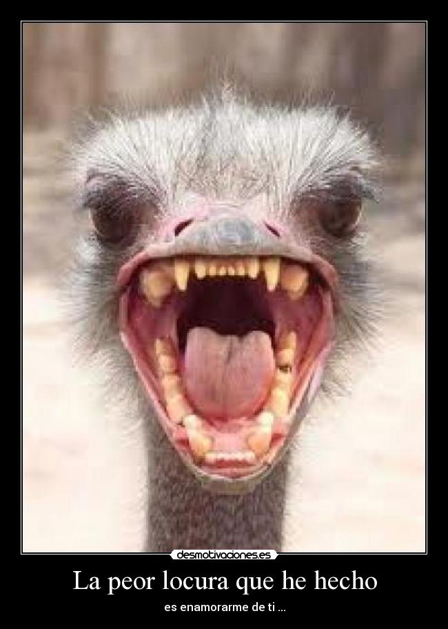 La peor locura que he hecho - es enamorarme de ti ...