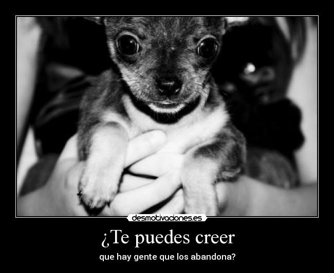 ¿Te puedes creer - que hay gente que los abandona?