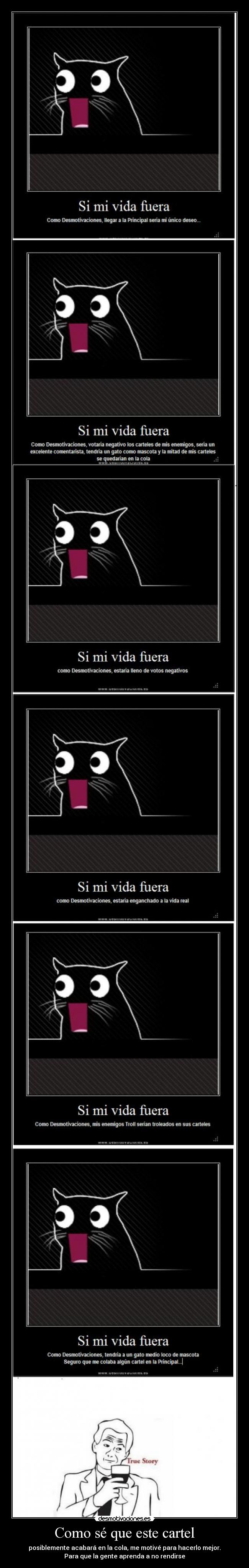 carteles true story desmotivaciones gato vida desmotivaciones