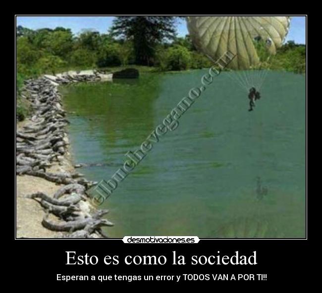 Esto es como la sociedad - 