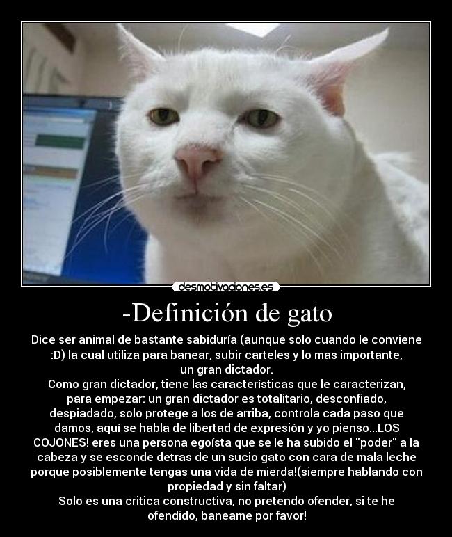 -Definición de gato - 