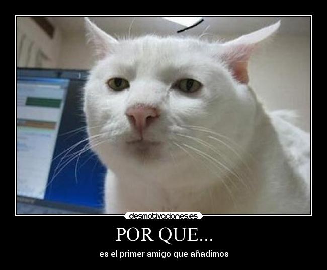 POR QUE... - 