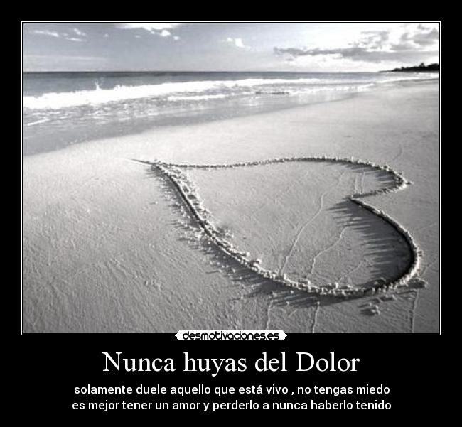Nunca huyas del Dolor -