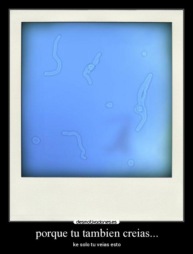 porque tu tambien creias... -