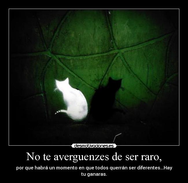 carteles averguenzes raro por que habra momento que todos querran ser diferentes hay ganaras desmotivaciones