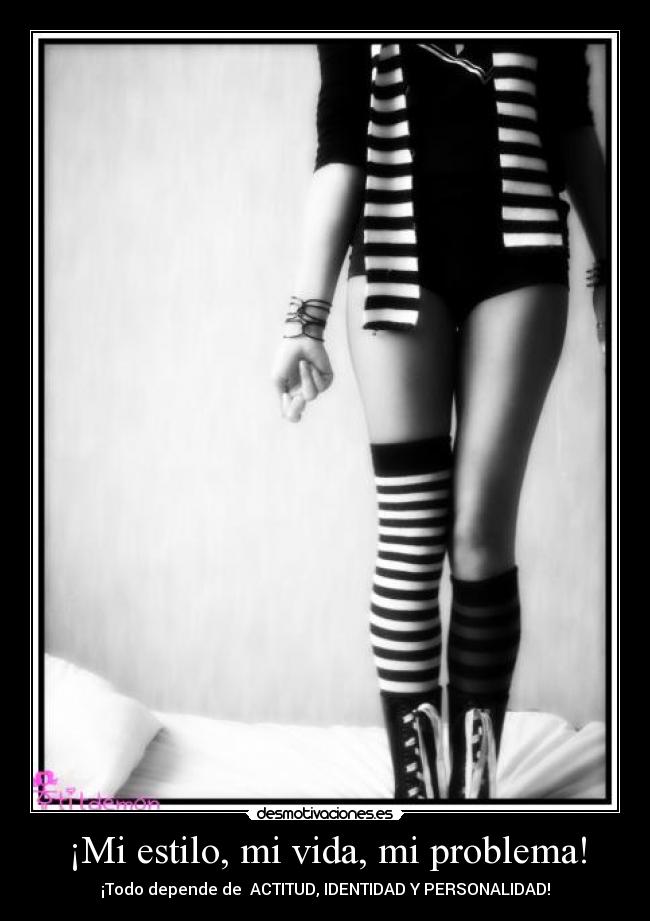 ¡Mi estilo, mi vida, mi problema! -