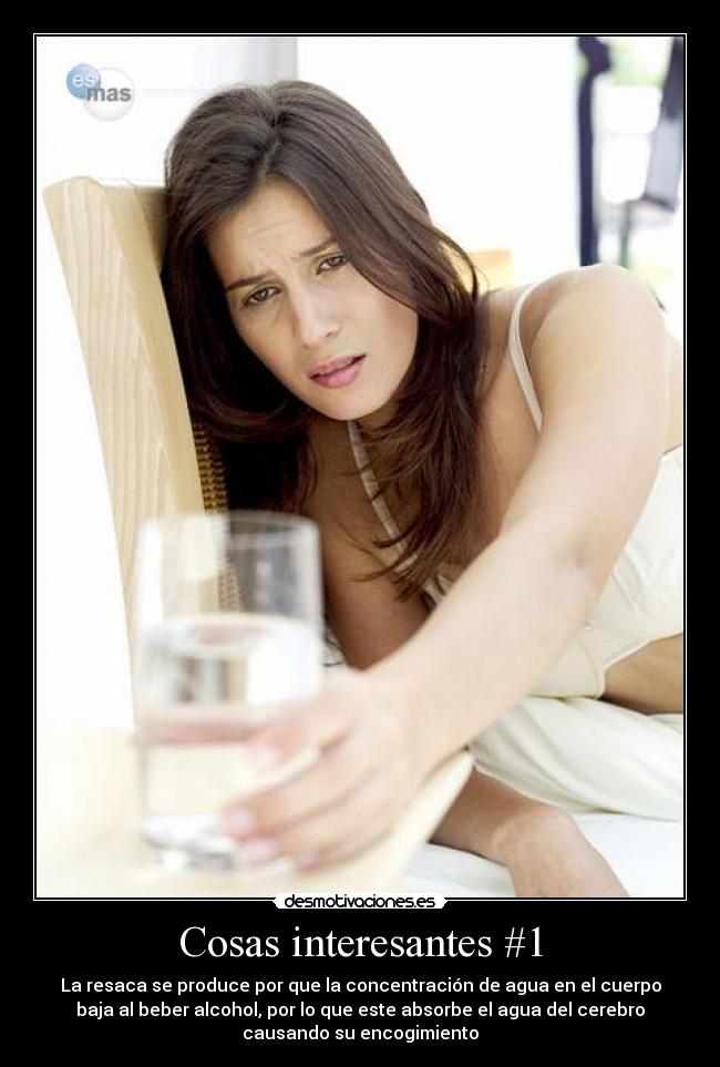 Cosas interesantes #1 - La resaca se produce por que la concentración de agua en el cuerpo
baja al beber alcohol, por lo que este absorbe el agua del cerebro
causando su encogimiento