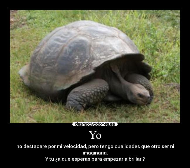 carteles motiva desmotivaciones