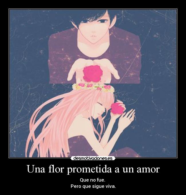 Una flor prometida a un amor - Que no fue.
Pero que sigue viva.