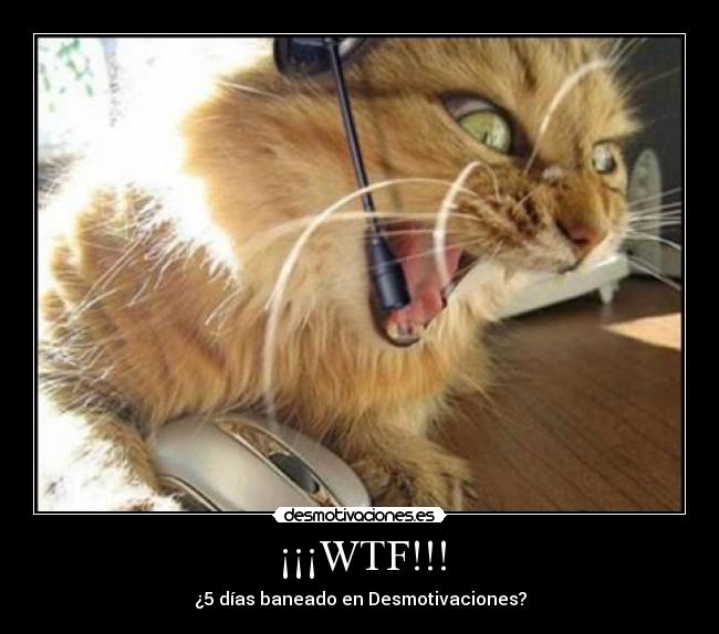 ¡¡¡WTF!!! - 