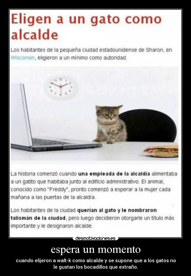 espera un momento - cuando elijeron a walt-k como alcalde y se supone que a los gatos no
le gustan los bocadillos que extraño.
