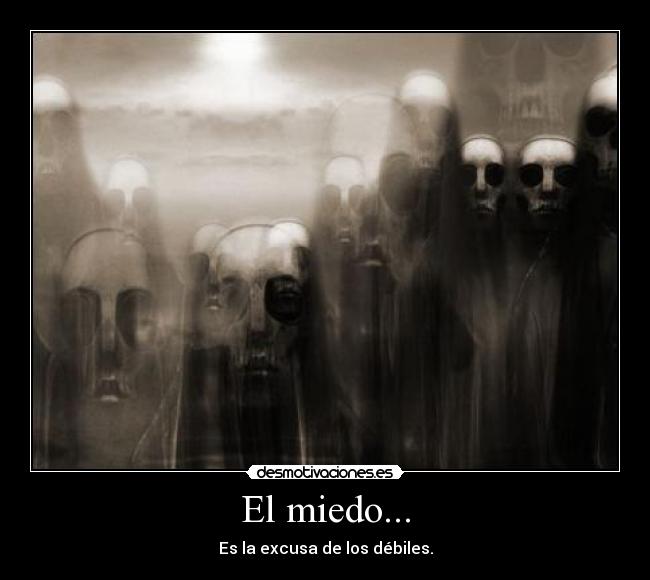 carteles miedo miedo excusa dabiles desmotivaciones