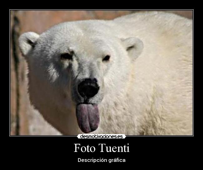 carteles tuenti desmotivaciones