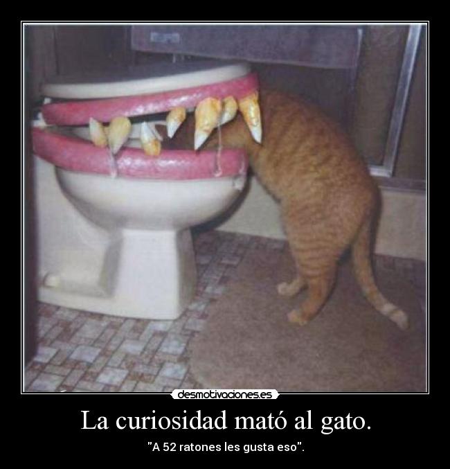 La curiosidad mató al gato. -